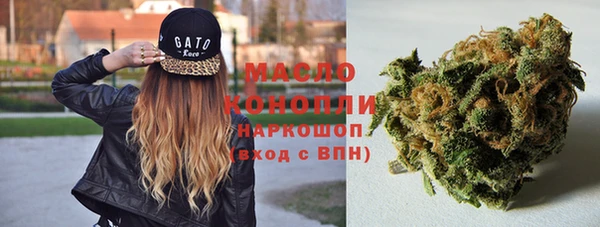 spice Абаза